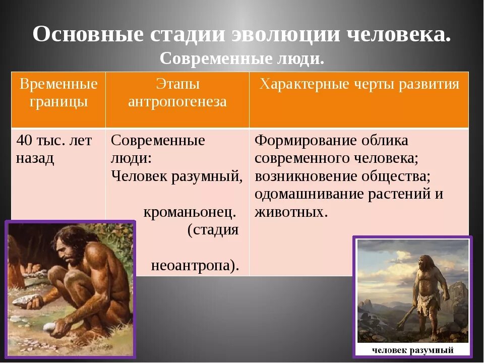 Название этапа эволюции. Ступени развития человека хомо сапиенс. Основные этапы эволюции человека дриопитек. Ступени развития человека Антропогенез. Основные этапы антропогенеза человека.