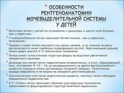 Физиологические особенности мочевыделительной системы