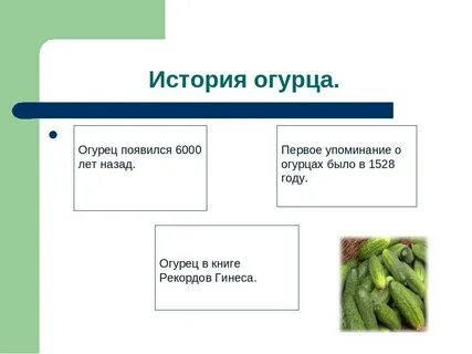 Огурцы появились в