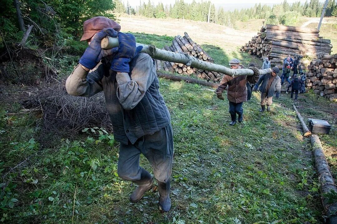 песня лесорубы