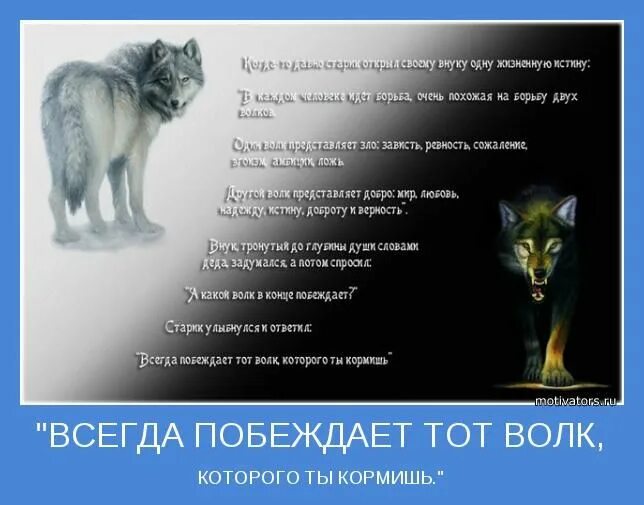 Стих злой волк. Стих про волка. Волки злые с надписями. Стих злой волк. Стих злой волк.