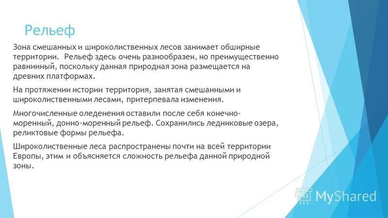 Сибирская тайга темнохвойная. Рельеф влажных экваториальных лесов. Смешанные (хвойно-широколиственные) леса китая. Рельеф смешанных. Хвойно широколиственные леса южного урала.