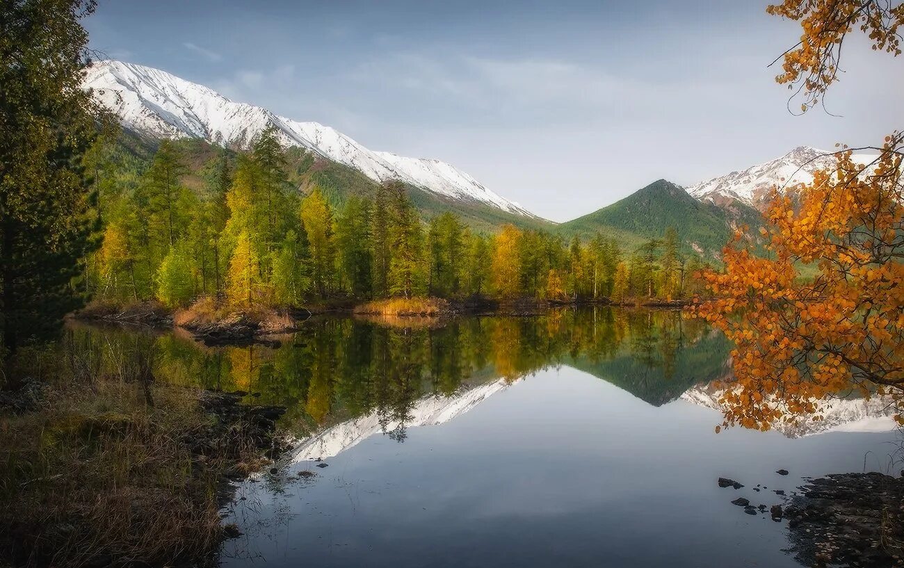 Природа сибири. Западно сибирская природа. Природа сибири. Черневая тайга кузбасса. Восточносибирская тайга реки.