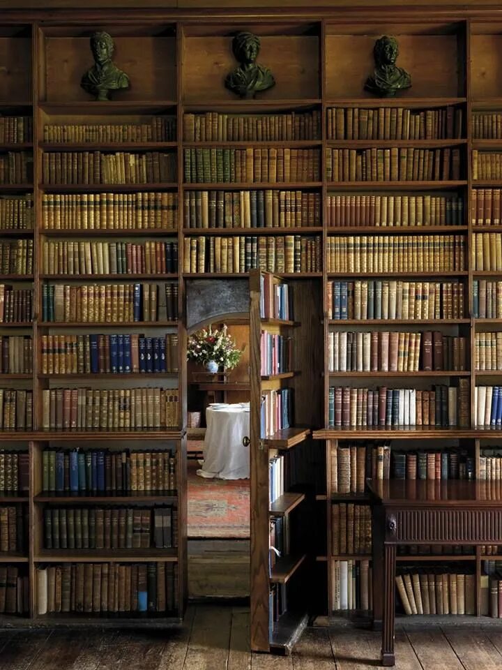 Library novel. Книжный шкаф. Книжные полки старинные. Старинный шкаф с книгами. Старинный стеллаж с книгами.