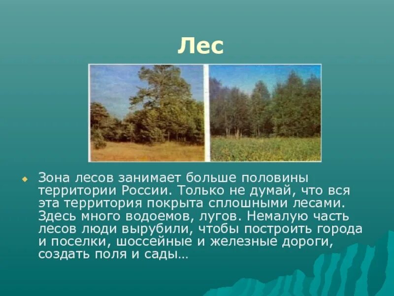 Какую территорию занимает лес. Леса занимают больше. Зона лесов 4 класс. Какие леса занимают в России наибольшую территорию. Леса половина территории россии