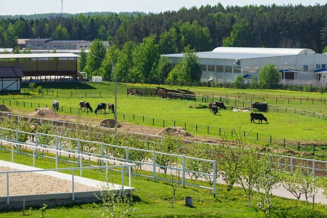 Максима парк москва. Максима парк Катуар. Максима парк отель Катуар. Максима парк Сухаревские горки. КСК Максима парк.