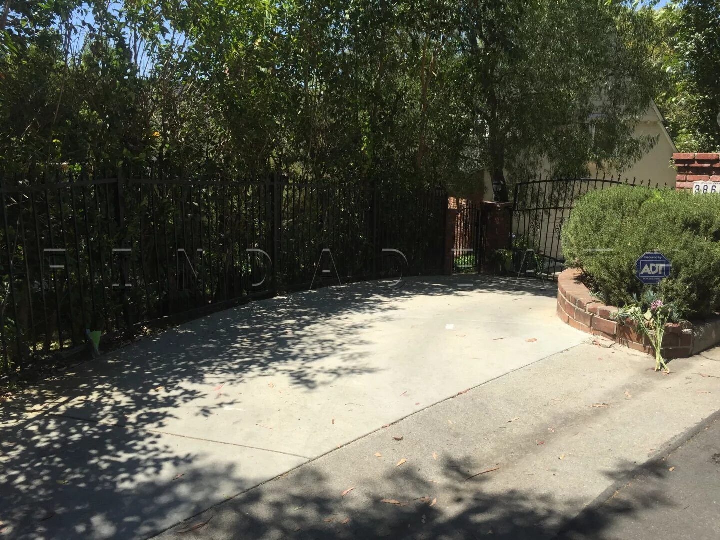 In Los Angeles, a monument to the deceased actor Anton Yelchin was erected. http