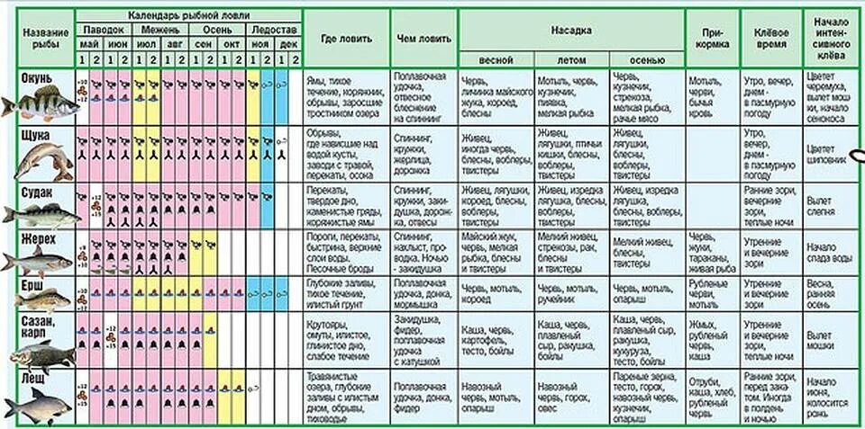 лунный рыбацкий календарь на 2022 год. таблица рыбной ловли. таблица рыболова. нормы и размер вылова рыбы окунь. сколько ловли.