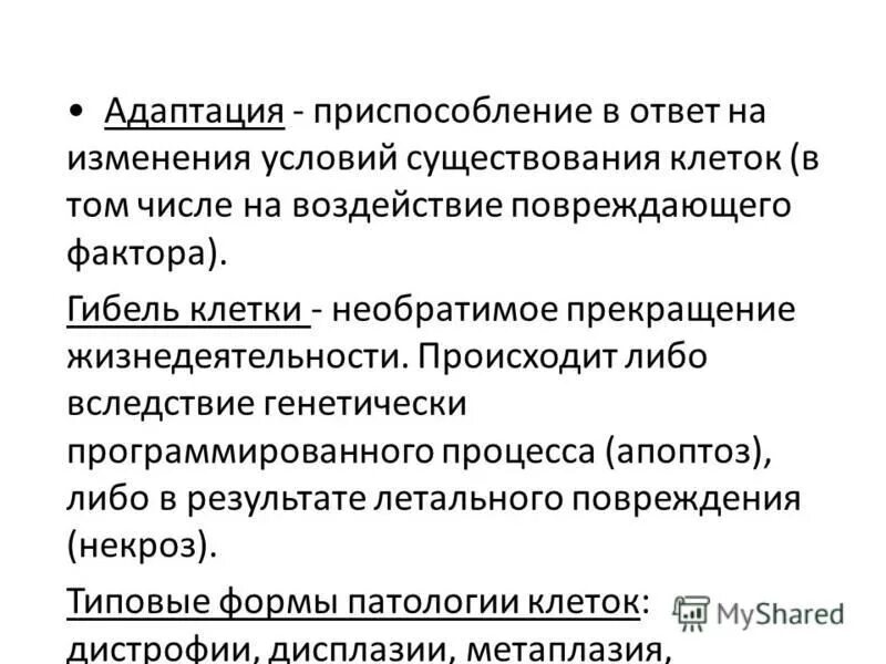 В чем смысл программированной гибели клеток. Аутофагия гибель клетки. Деградационная фаза. Запрограммированная клеточная гибель. Запрограммированная гибель клеток.