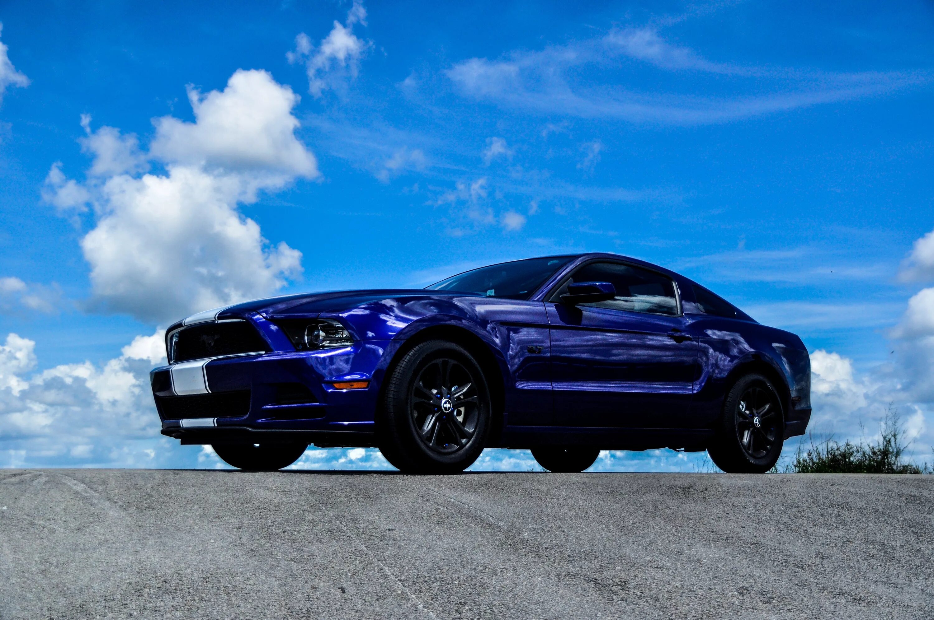 Форд Мустанг темно синий. Форд Мустанг 2015 синий. Форд Мустанг 5.7. Ford Mustang gt 2003. Мустанг на русском языке