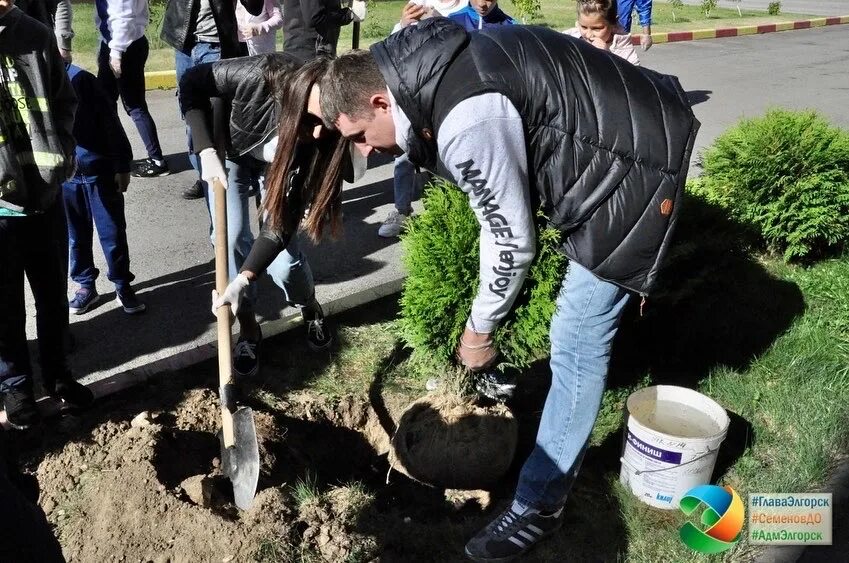 Посадив парке 4 дерева