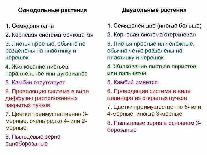 Классификация однодольных и двудольных растений таблица. Общая характеристика двудольных и однодольных растений таблица. Класс Однодольные и двудольные таблица. Таблица классы покрытосеменных растений Однодольные и двудольные.