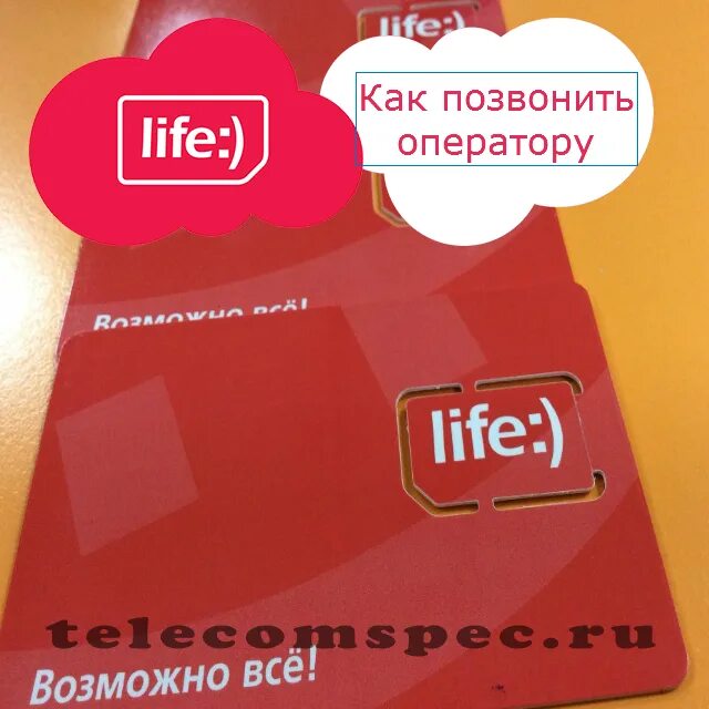 Узнать свой номер лайф. Лайф оператор. Life мобильный оператор. Лайф оператор номер. Оператор лайф номер телефона.