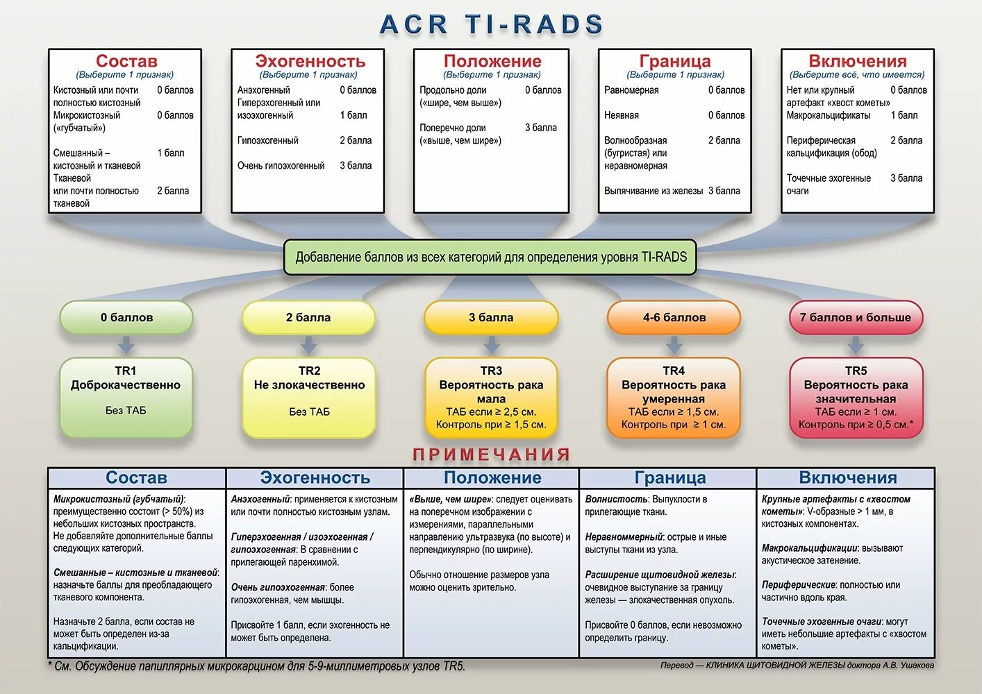 Tr 3 5 4. Классификация Tirads щитовидная железа УЗИ. Щитовидная железа классификация ti-rads. Классификация ti-rads для УЗИ. Классификация Tirads щитовидная железа.