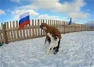 Выставка собак 14 апреля 2025. Белоярский хмао приют собак. хмао югра радужный приют для собак временно. отделение для собак в приюте. приют для собак в приобье хмао.