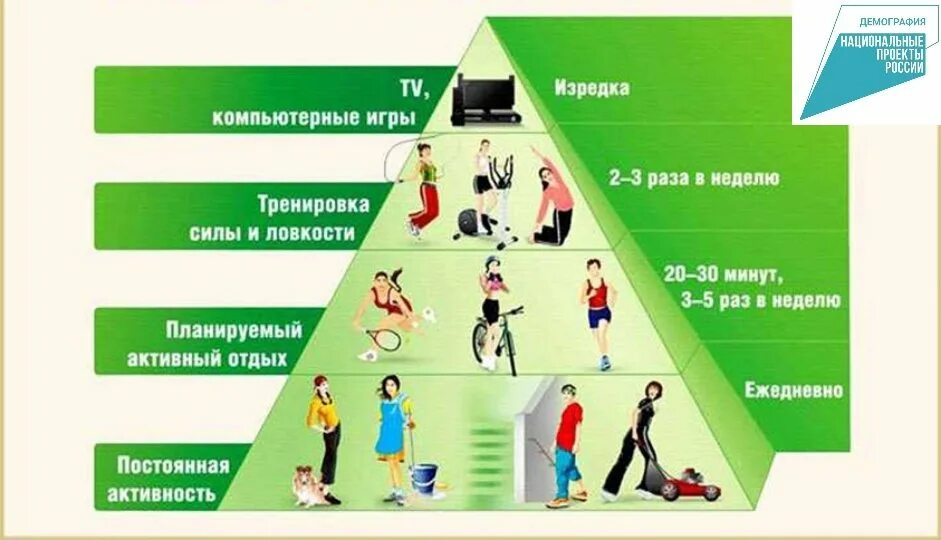 Организация рациональной физической активности. Пирамида физической активности. Виды физической активности. Распределение физической активности. Повышение физической активности.