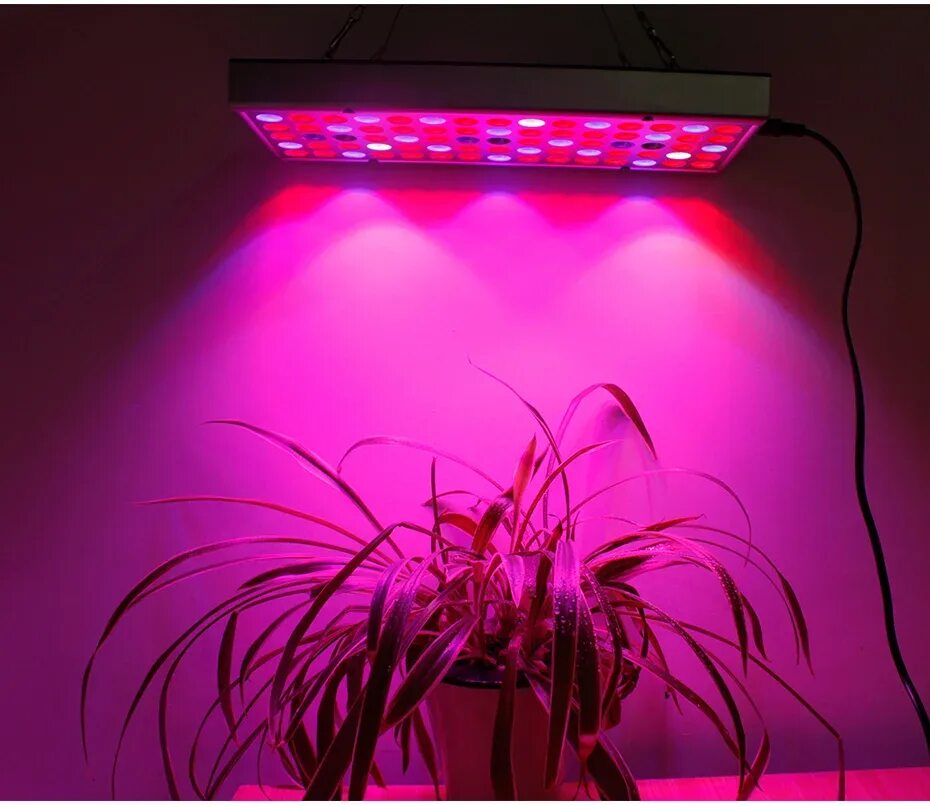 Led grow plant. Фитолампа led grow Light. Фитолампа 300 led полный спектр led. Фитолампа светодиодная General 14w. Фитолампа grow Light 310w.