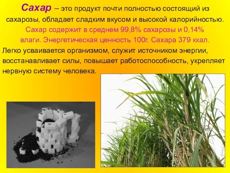 Сахарный тростник содержит 9. Из чего состоит сахар. Сахар содержит сахарозы. Из чего состоит сахар химия. Из чего состоит сахара.