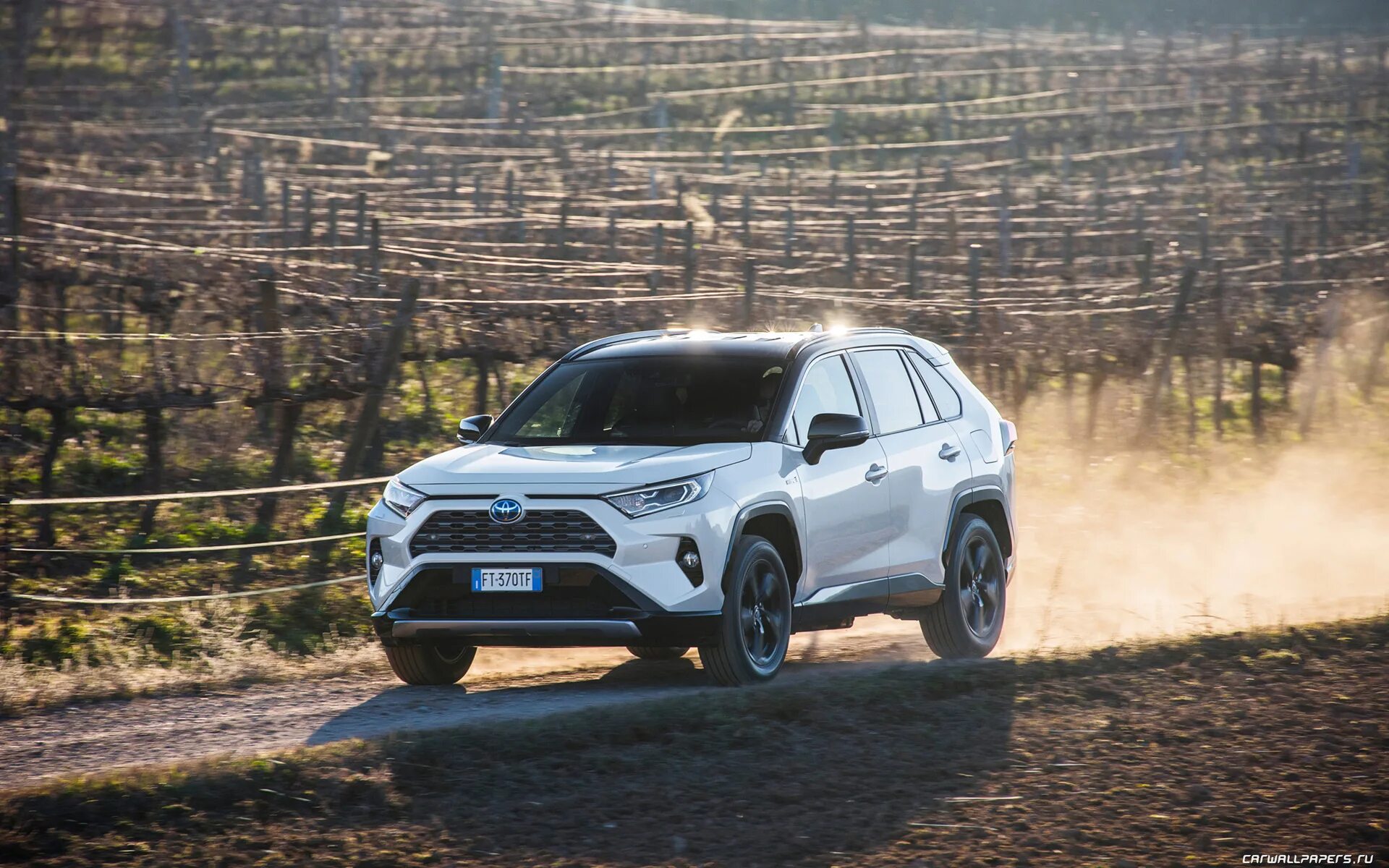 Рав 5. Toyota rav4 2019. Toyota rav4 5 поколение. Рав 4 5 поколения. Тойота рав 4 пятого поколения.