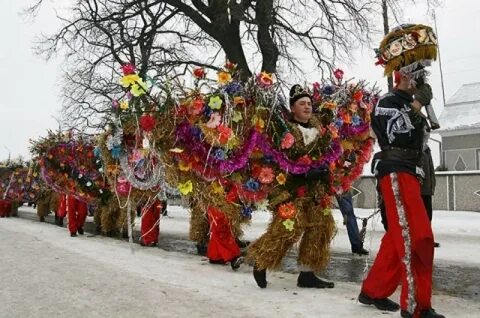 Маланка перевод