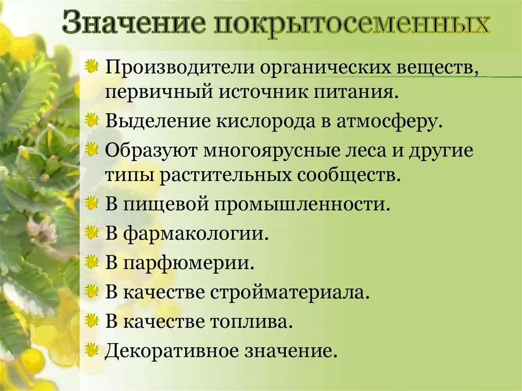 Функция покрытосеменных растений. Значение покрытосеменных растений. Покрытосеменные в жизни человека и в природе. Значение покрытосеменных растений в природе. Значение покрытосеменных в природе.