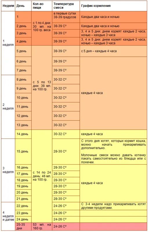 Котенку месяц чем кормить без матери. Сколько в день нужно кормить котенка 1.5 месяца. Котята 2 и3 месяца сколько кормить. Сколько в день кормить котенка 5 месяцев. Сколько корма давать котенку в 1 месяц.