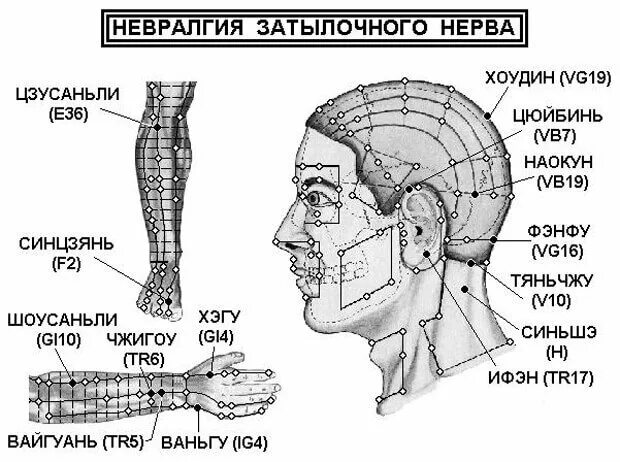 Малый затылочный нерв воспаление симптомы. Акупунктурные точки тройничного нерва. Малый затылочный нерв анатомия. Зона иннервации затылочного нерва. Невропатия затылочного