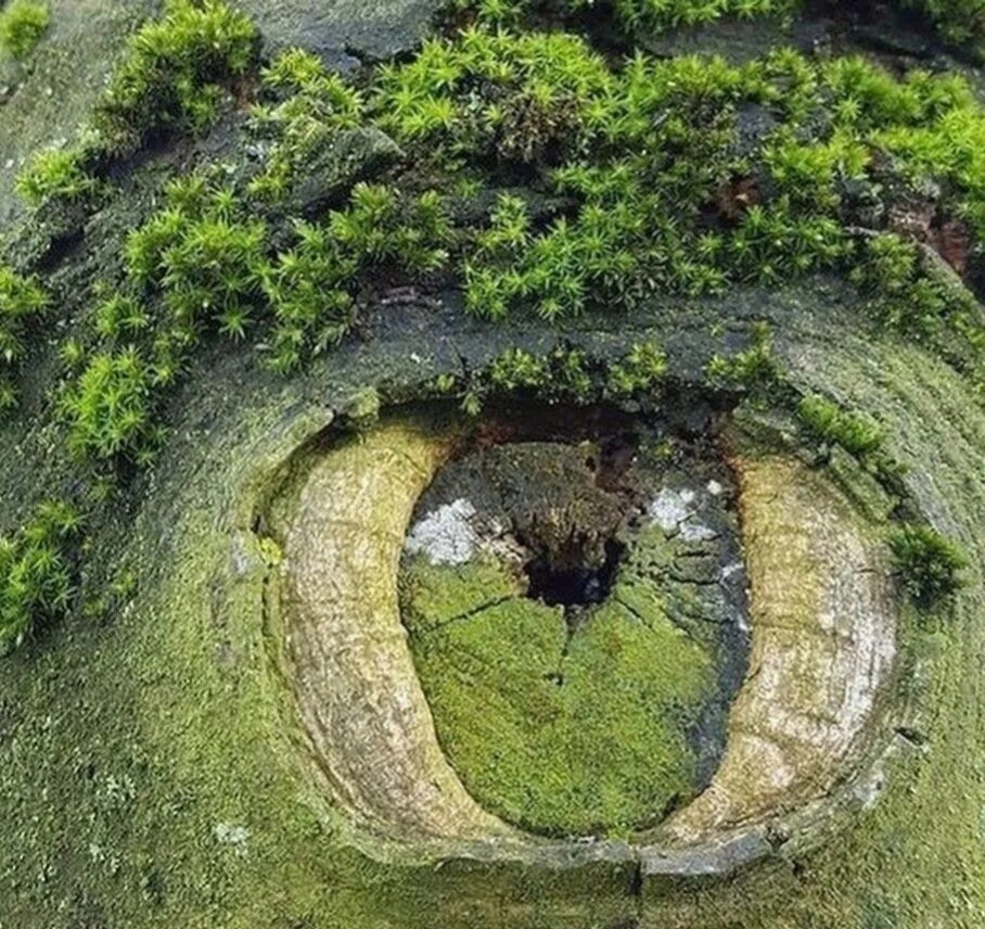 Интересные аномалии. Глаза природы. Природные чудеса. Удивительная природа. Странные места.