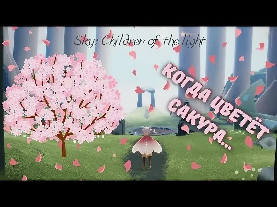 Дни цветения sky. Дни цветения Скай. Sky children of the Light день цветения. Скай дни цветения Sky.