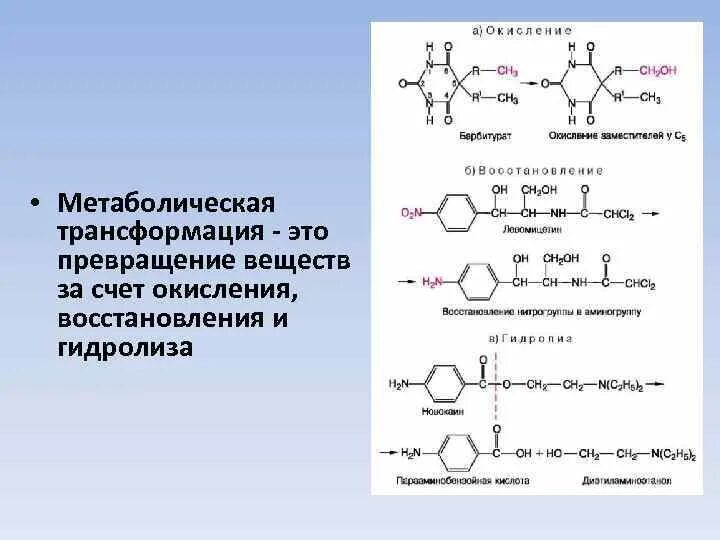 Метаболическая трансформация это. Гидролиз и окисление. Окисление барбитуратов. Окисление восстановление гидролиз.