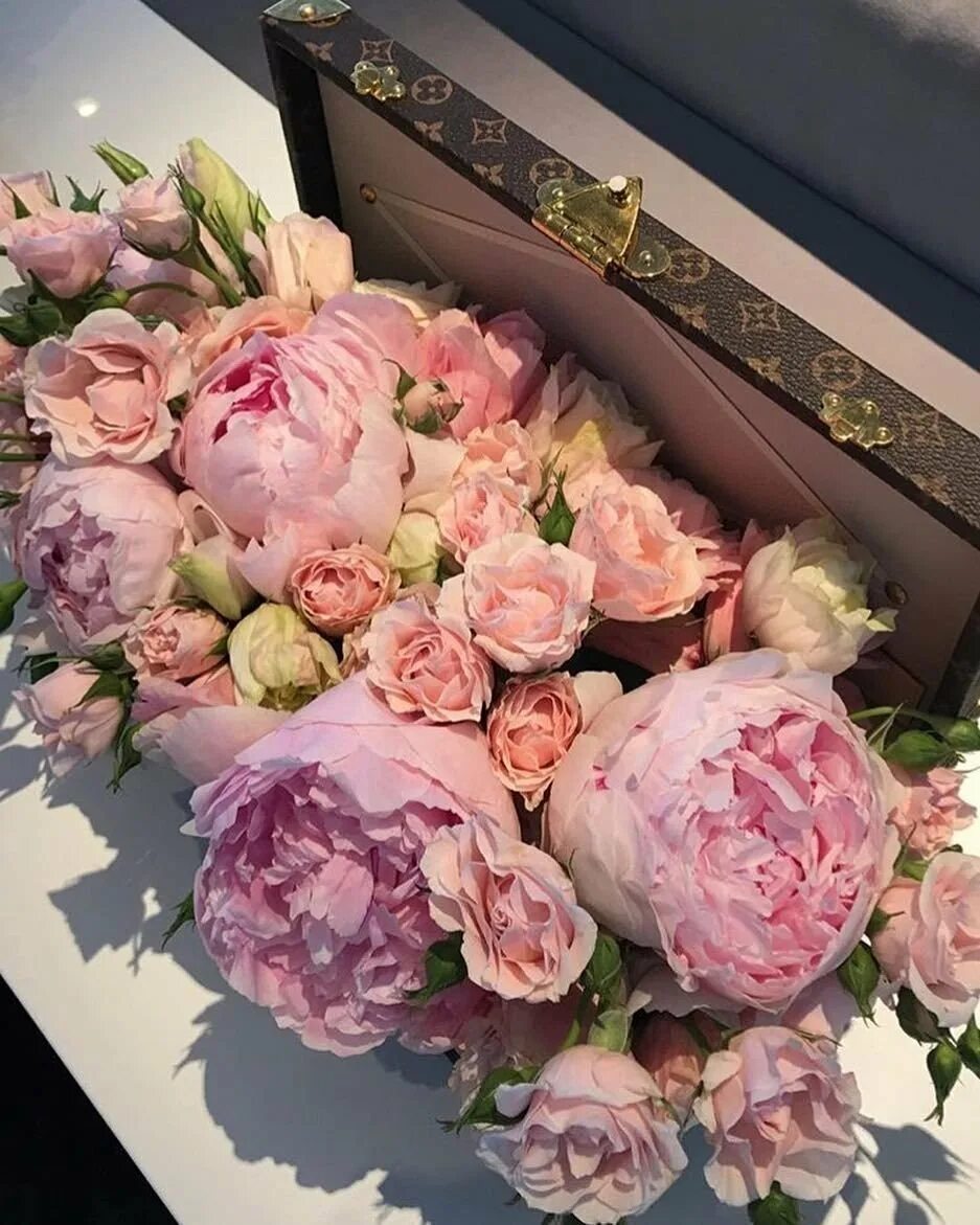 Роскошь пионов. Роскошь пионов. Пионы купить рязань. Роскошь пионов. Пионы букет с красными ногтями.