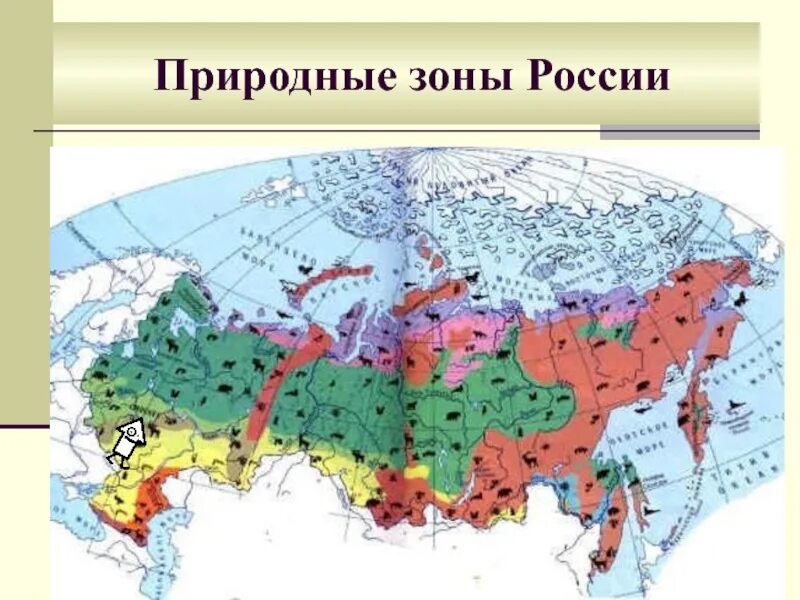 7 природных зон россии 4 класс. Карта природных зон 4 класс окружающий мир. Карта природных зон России. Карта природных зон России 4 класс окружающий мир с названиями зон. Азональные природные зоны России карта.