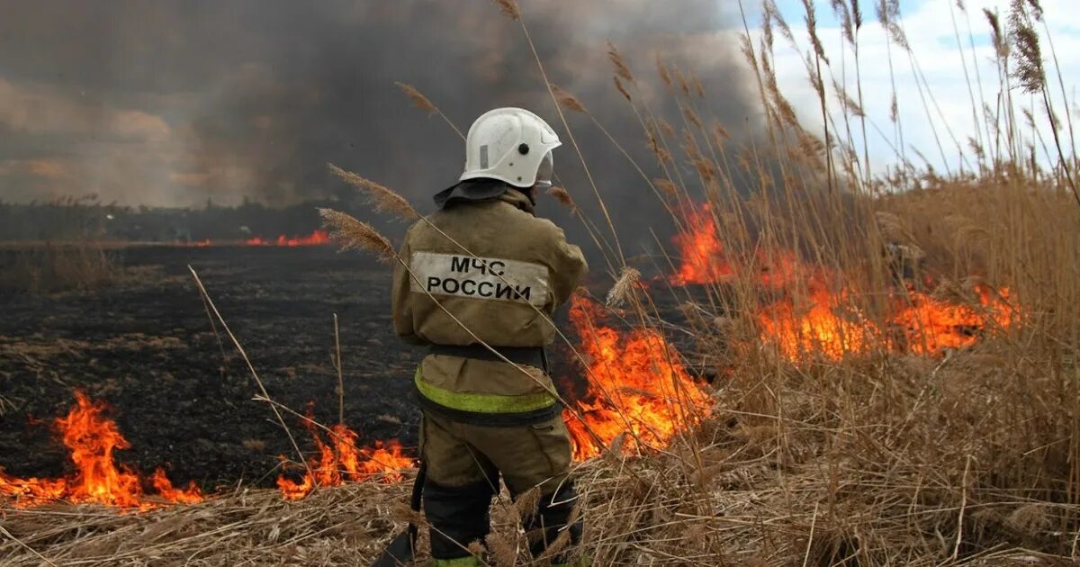 Пожары. Чрезвычайная пожарная опасность. Пожар в лесу МЧС. Высокая пожароопасность. Пожары и т д в