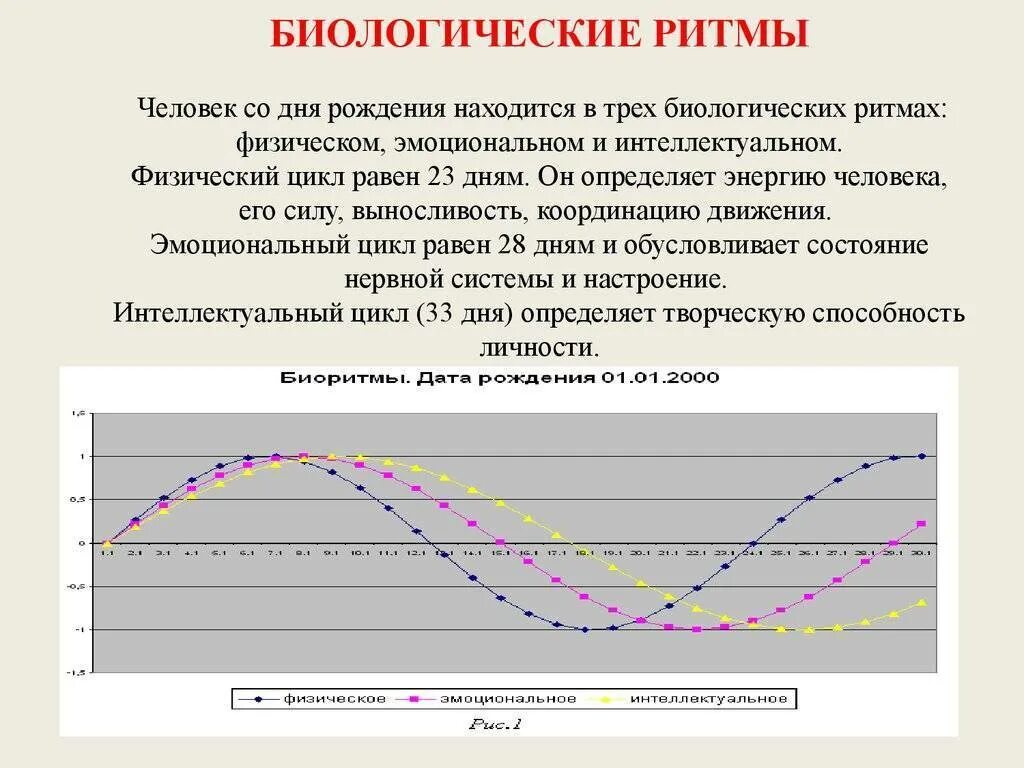 Среднестатистический график суточных биоритмов человека. Биологические ритмы человека методы изучения возрастная динамика. Характеристика биоритмов человека. Высокочастотные биоритмы человека. График биоритмов по дате