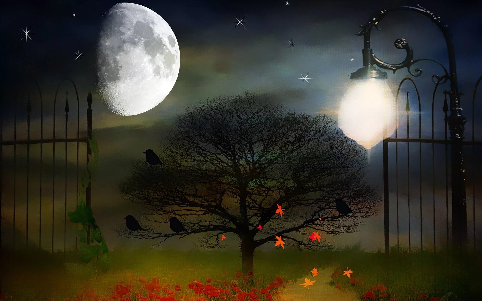 Волшебная Луна. Волшебное полнолуние. Спокойной ночи осенней ночи. Дерево под луной.