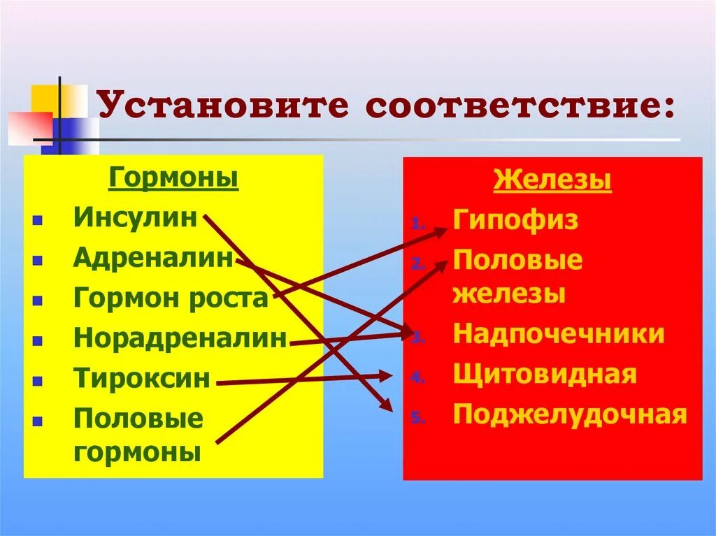Установите соответствие между железой. Установите соответствия гормонов. соответствие между гормонами и железами. установите соответствие гормоны железы. гормоны адреналин инсулин соматотропин.