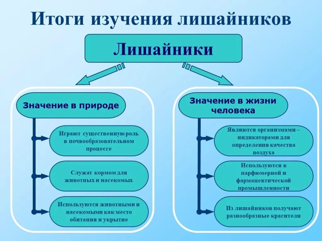 Роль лишайников в природе и жизни человека. Роль лишайников в природе и жизни человека 5 класс. Роль лишайников в природе и жизни человека 5 класс биология. Значениеkbifqybrjd в природе и жизни человека.