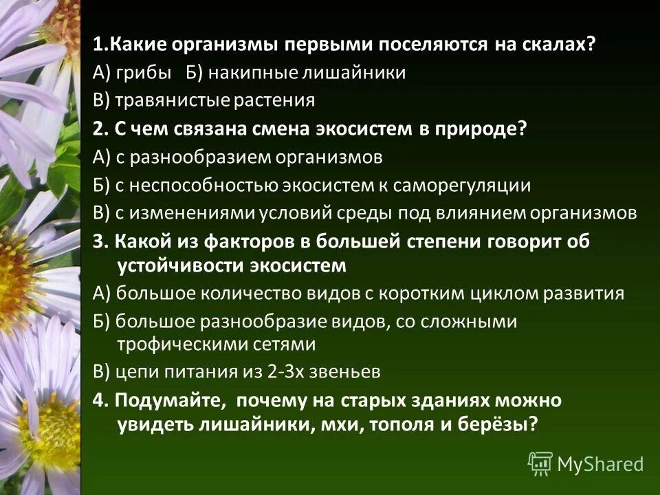 Сообщение на тему разнообразие планов. План на тему деятельность способ существования людей. Разнообразие природы родного края растения. Сообщение на тему разнообразие планов. Окружающий мир разнообразие веществ.