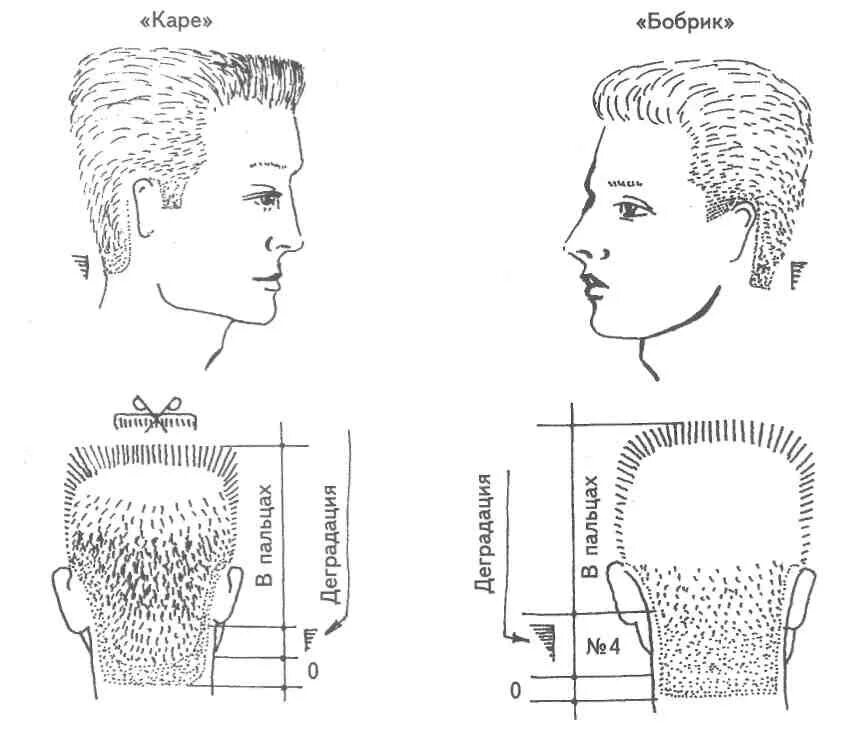 Схема подстричь. Стрижка полубокс бокс схема стрижки. Схема мужской стрижки машинкой полубокс. Бобрик схема мужской стрижки стрижки. Полубокс стрижка мужская схема стрижки машинкой.
