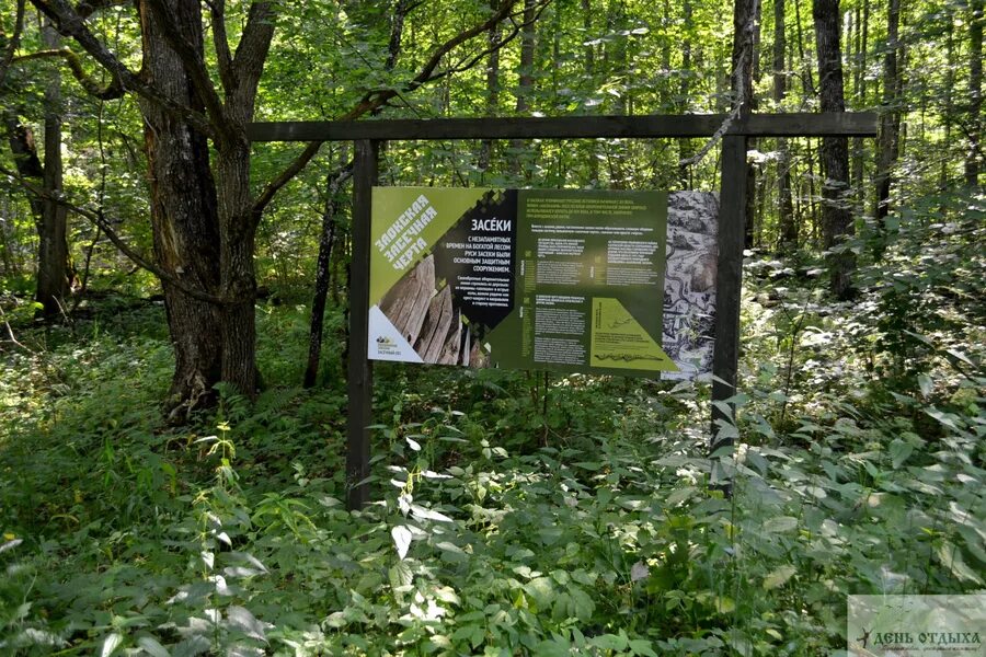 Калужские Засеки заповедник. Калужские Засеки заповедник зубры. Калужские Засеки Ульяново. Заповедники Калужской области. Засеки 8