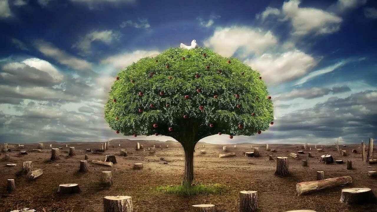 Bad environment. Bad environment
