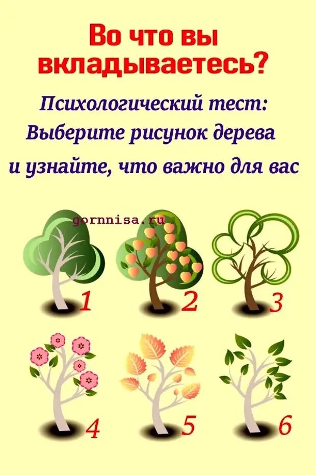 Психологические тесты. Тест психология. Психологические тесты ы. Психологические тесттесты. Психологические тесты в группе