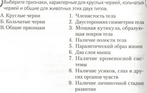 Тема черви плоские круглые кольчатые