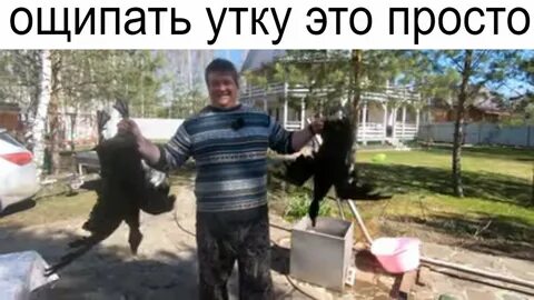 Утку ощипать быстро и легко
