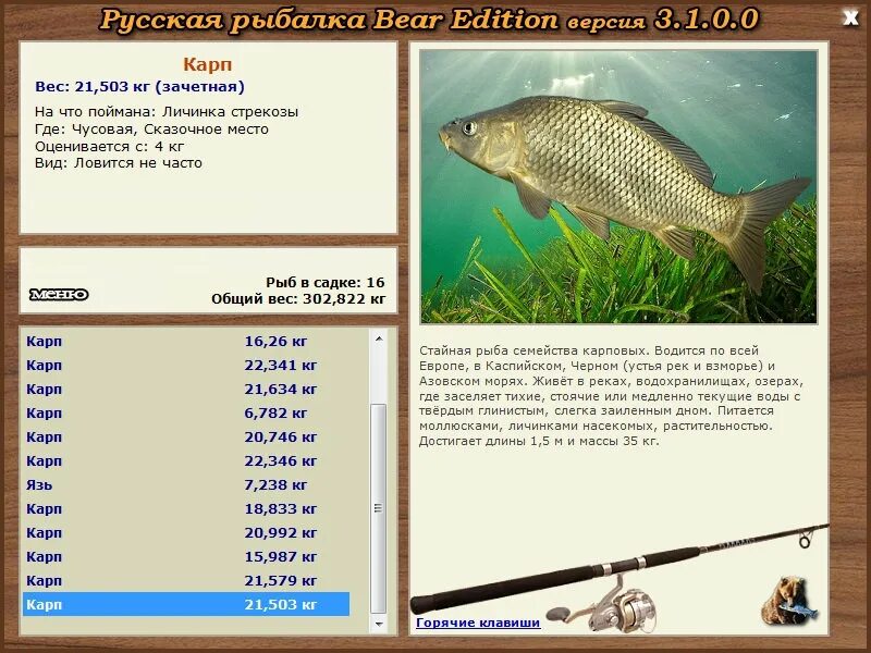 Линь рыба. Сборка таймень 3. Рыбалка bear edition. Рыбалка bear edition. Рыбалка bear edition.