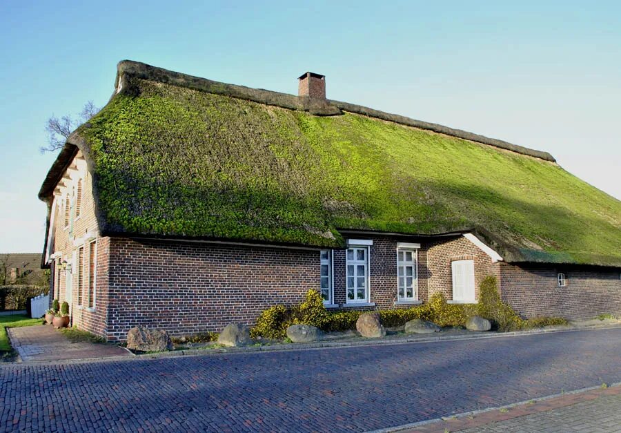 Зеленая кровля норвегия. Дом крыша мох. Мох на крыше. Дерновые дома в исландии. Дом на крыше.