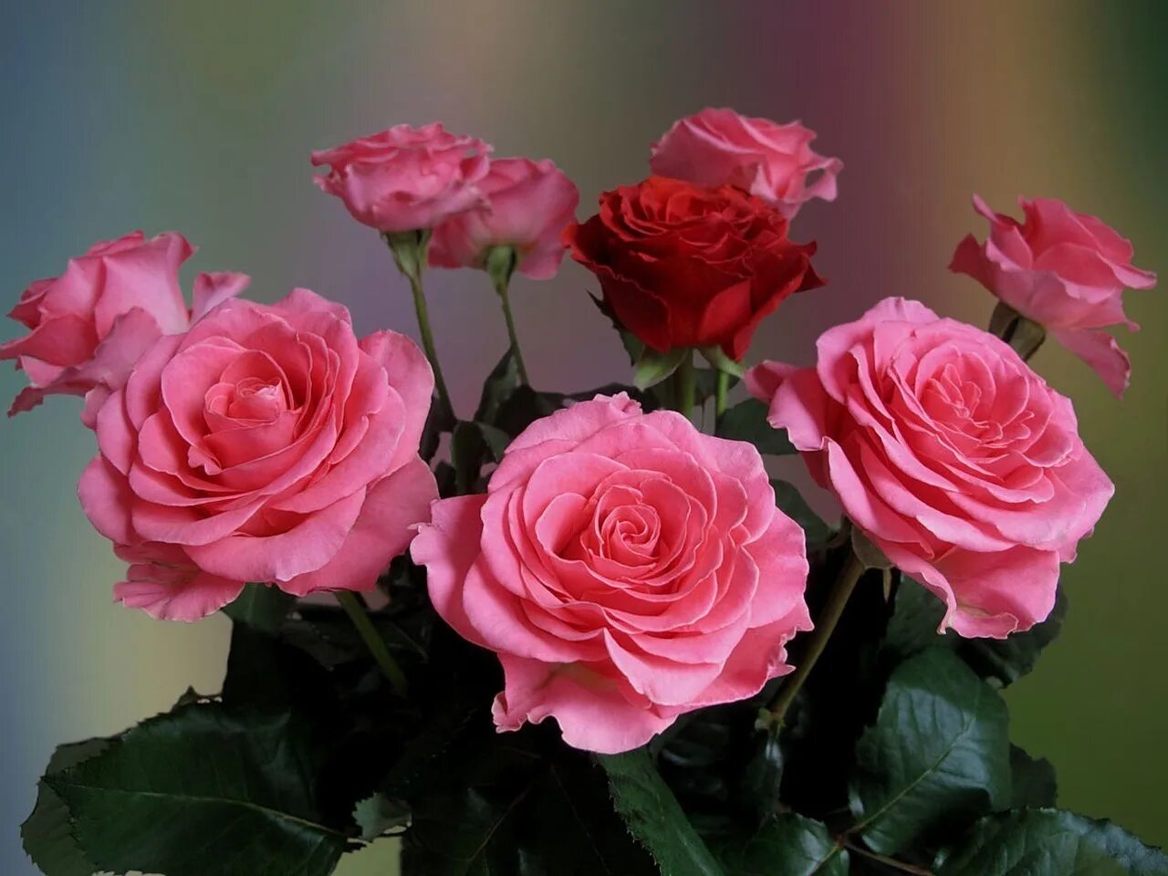 Открытки наташе с цветами. Открытки с розами. Розы для тебя. Розы для розы с днем рождения. Розы с пожеланиями счастья.