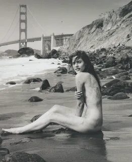 100 Great Danes by Bjarke Johansen and Simon Rasmussen 