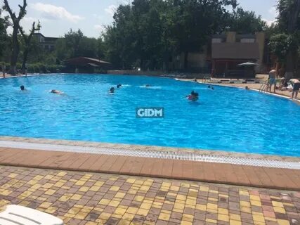 Турбаза дубовая роща волгоград