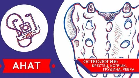 Сделайте анализ терминов по тэ osteologia pathologia